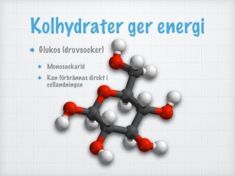 Vad behöver man äta?