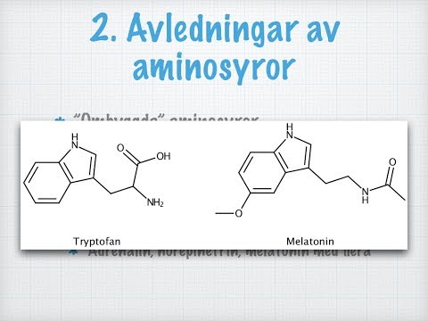 Hormonsystemet. Olika typer av hormoner.