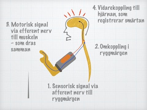 Reflexbågar