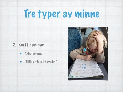 Minne och sömn