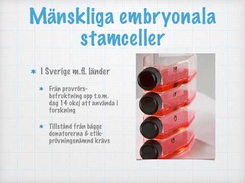 Stamceller och andra cellinjer