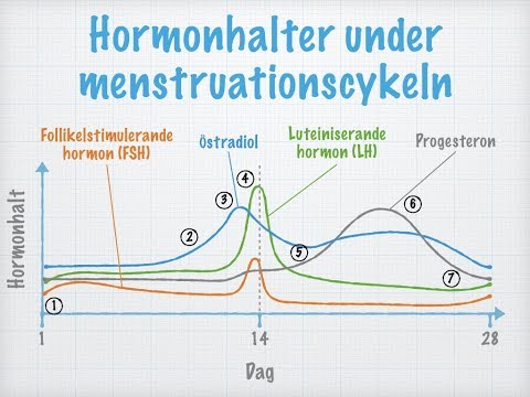 Menstruationscykeln
