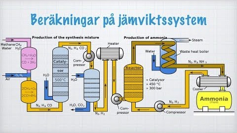 Beräkningar på jämviktssystem