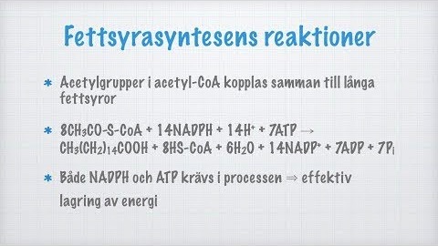 Glukoneogenes och fettsyrasyntes