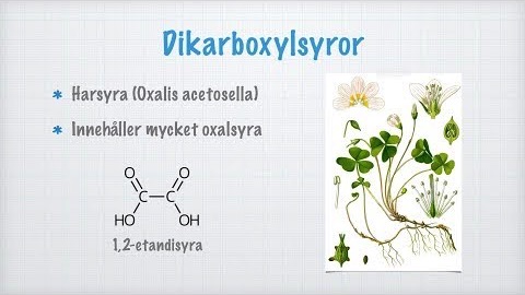 Mer om karboxylsyror