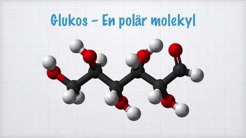 Dipoler och opolära molekyler