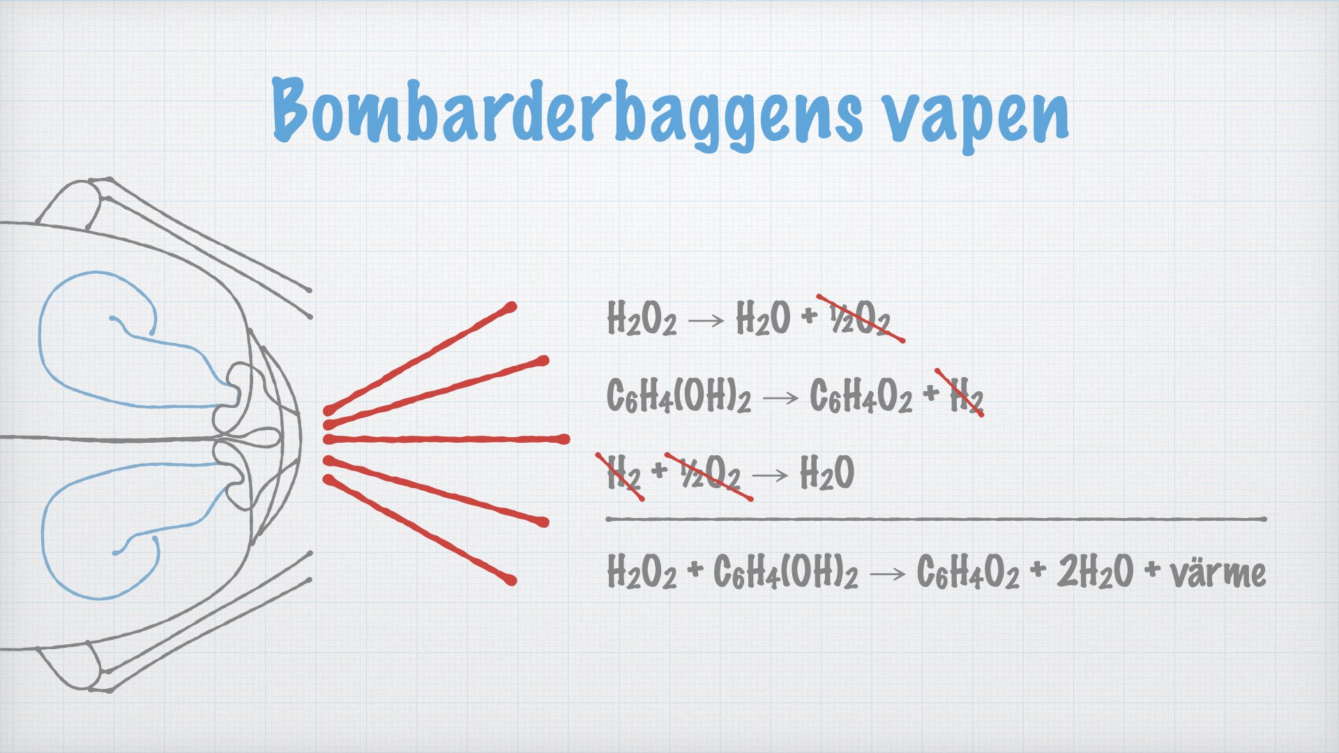 Hur funkar bombarderbaggens kemiska vapen.001