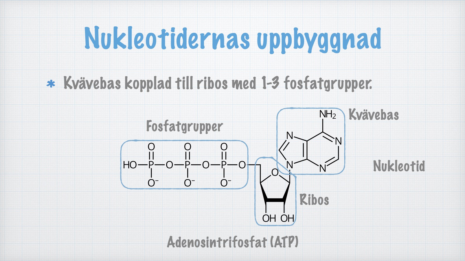 Nukleotider