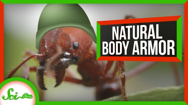 natural body armor