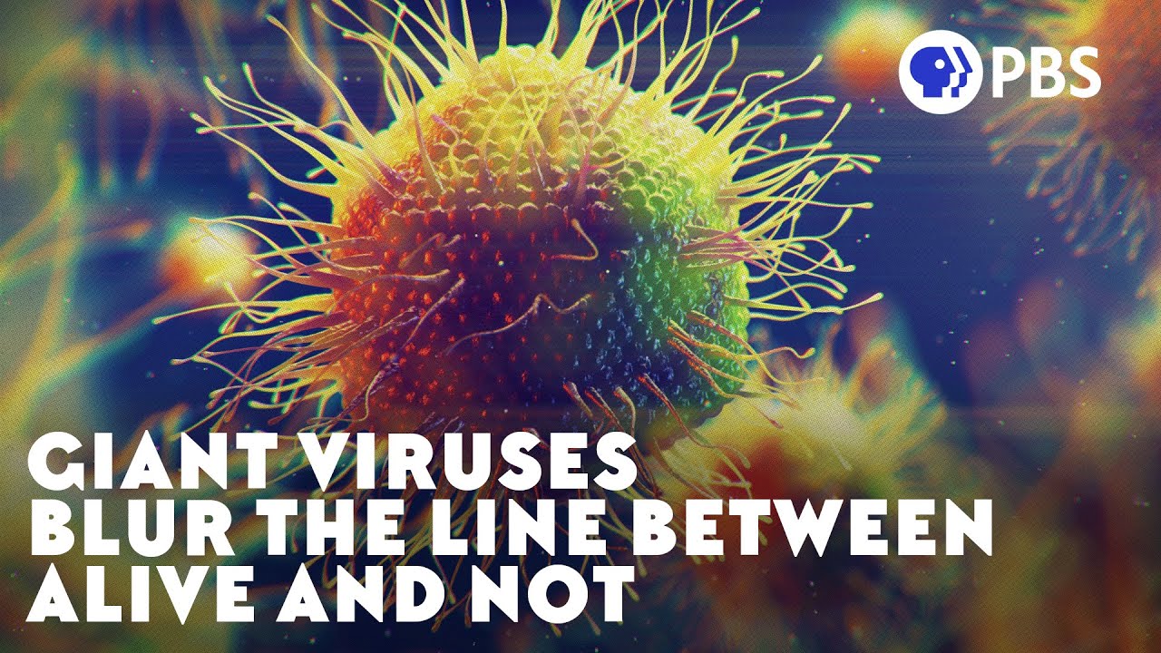 Jättevirus suddar gränsen mellan levande och icke-levande