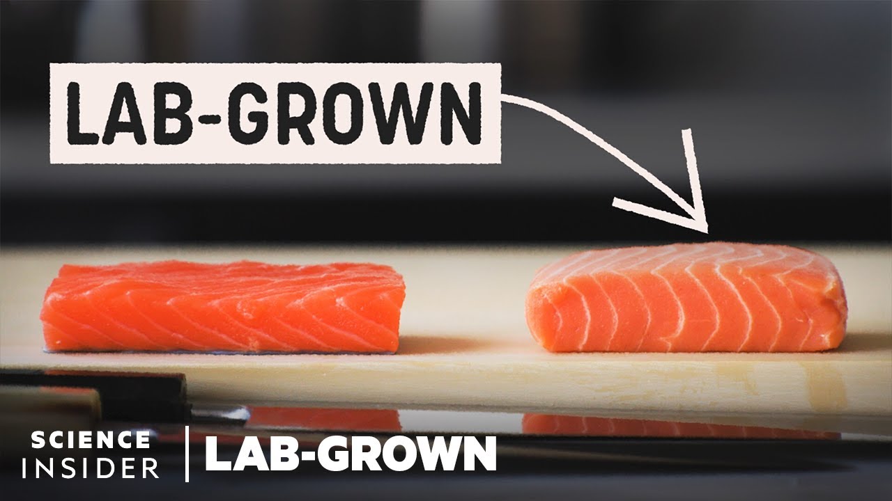Är lax som odlats på labbet framtidens fisk?