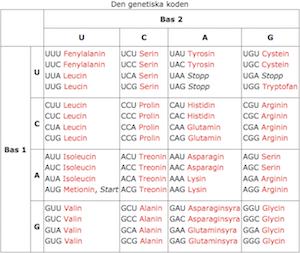 Den genetiska koden