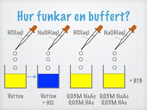 hqdefault08