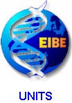 EIBE