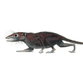 meet-your-newest-ancestor 1