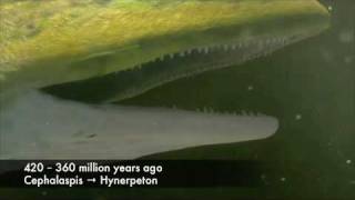 Universums och vår planets historia