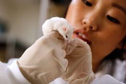 news.2010.394.mouse