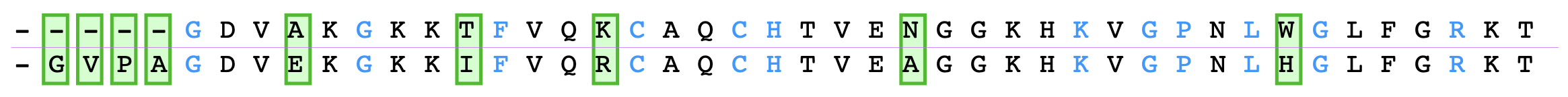 Exempel på jämförelse av aminosyrasekvenser.