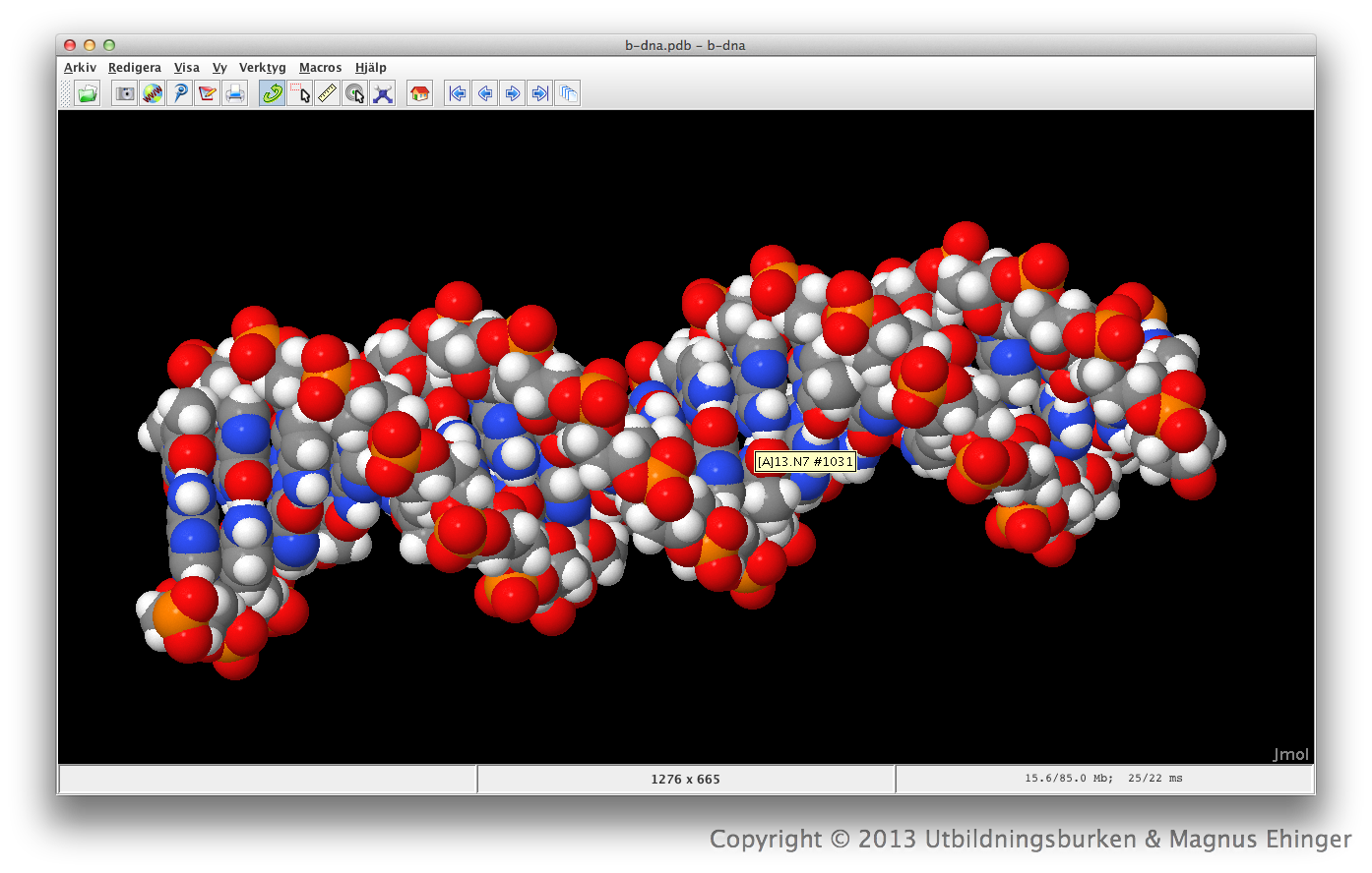 B-DNA i Jmol.