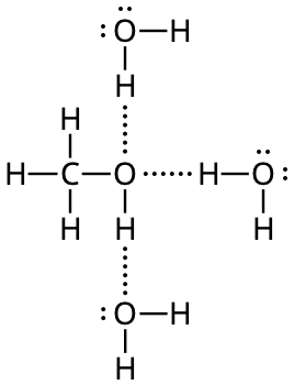 metanol kan delta med tre vatebindningar till vatten