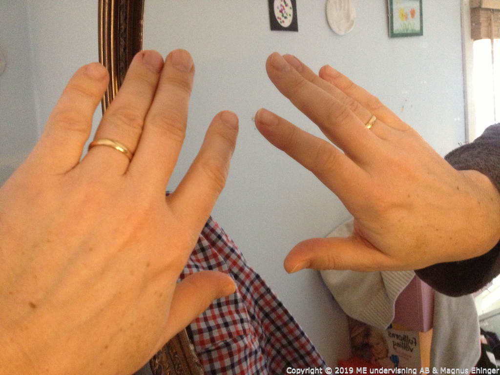 Din högra och vänstra hand är spegelbilder av varandra – precis som optiska isomerer. 