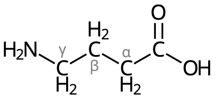 Strukturformeln för gamma-aminobutansyra (GABA).