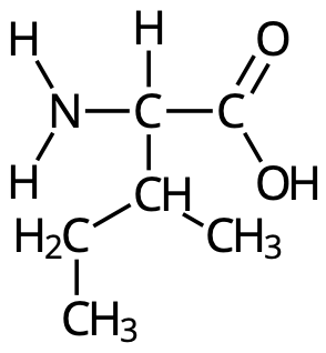 Isoleucin (Ile, I)