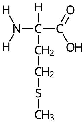Metionin (Met, M)