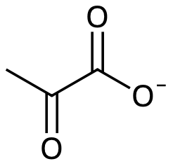 pyruvat