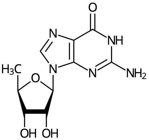 Guanosid