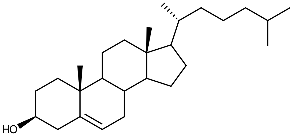 Kolesterol.
