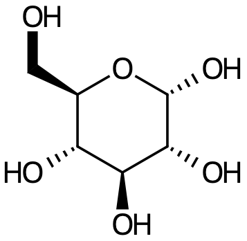 glukos-cyklisk-form