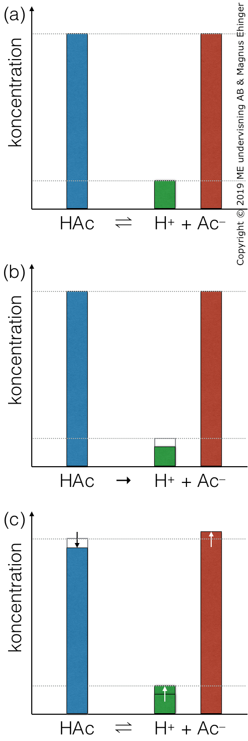 (a) Buffertsystemet är i jämvikt. (b) En liten mängd bas (OH⁻) sätts till lösningen. Den reagerar med H⁺ och bildar vatten, vilket gör att [H⁺] sjunker. Jämvikten rubbas, och går åt höger (enligt Le Chateliers princip). (c) När systemet åter nått jämvikt är koncentrationen H⁺ åter ungefär lika hög som innan.
